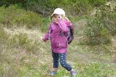 Heidipfad 08.06.19 P1050947