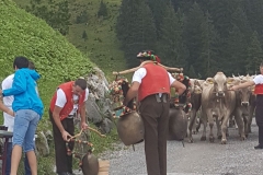 Ausflug Frauenriege 2017 19